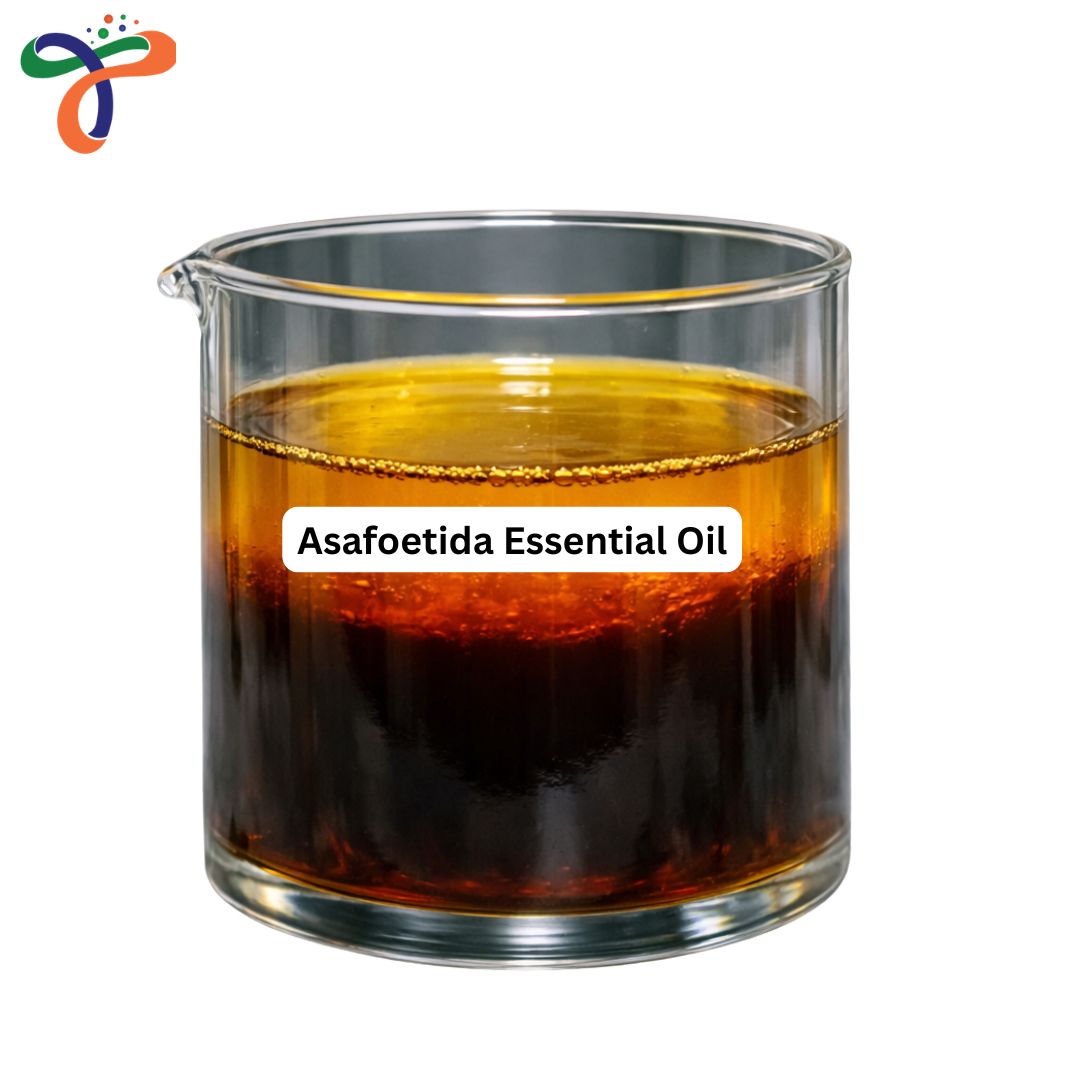 Asafoetida Essential Oil
